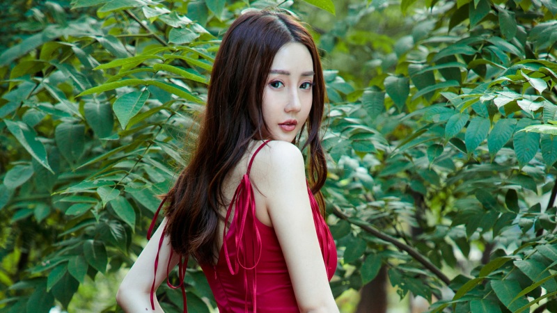 原神魈怎么配队 魈配队阵容推荐